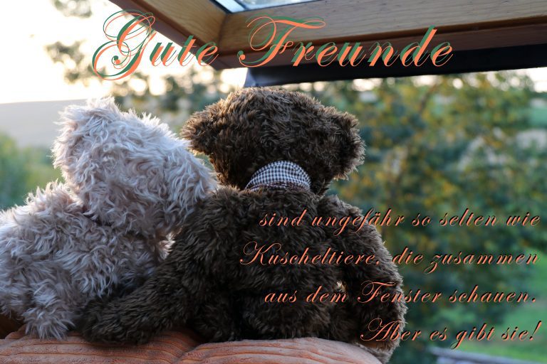 Ecard Image