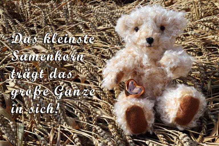 Ecard Image