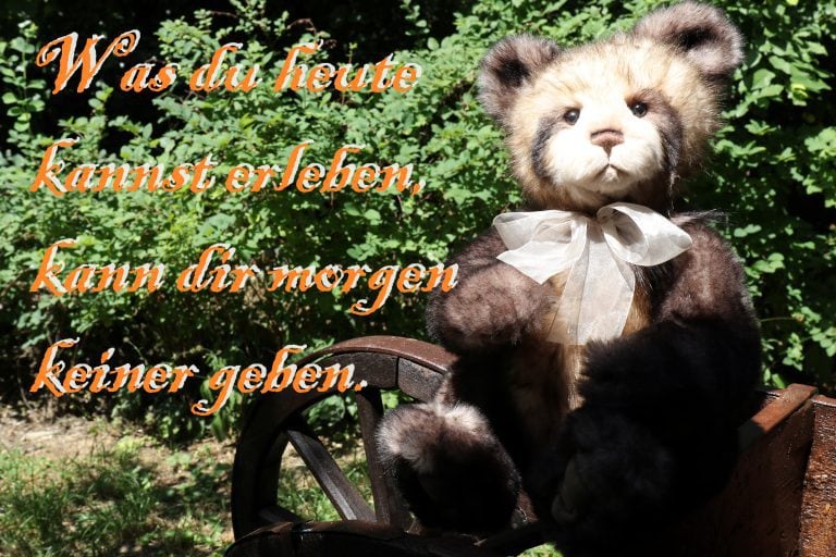 Ecard Image