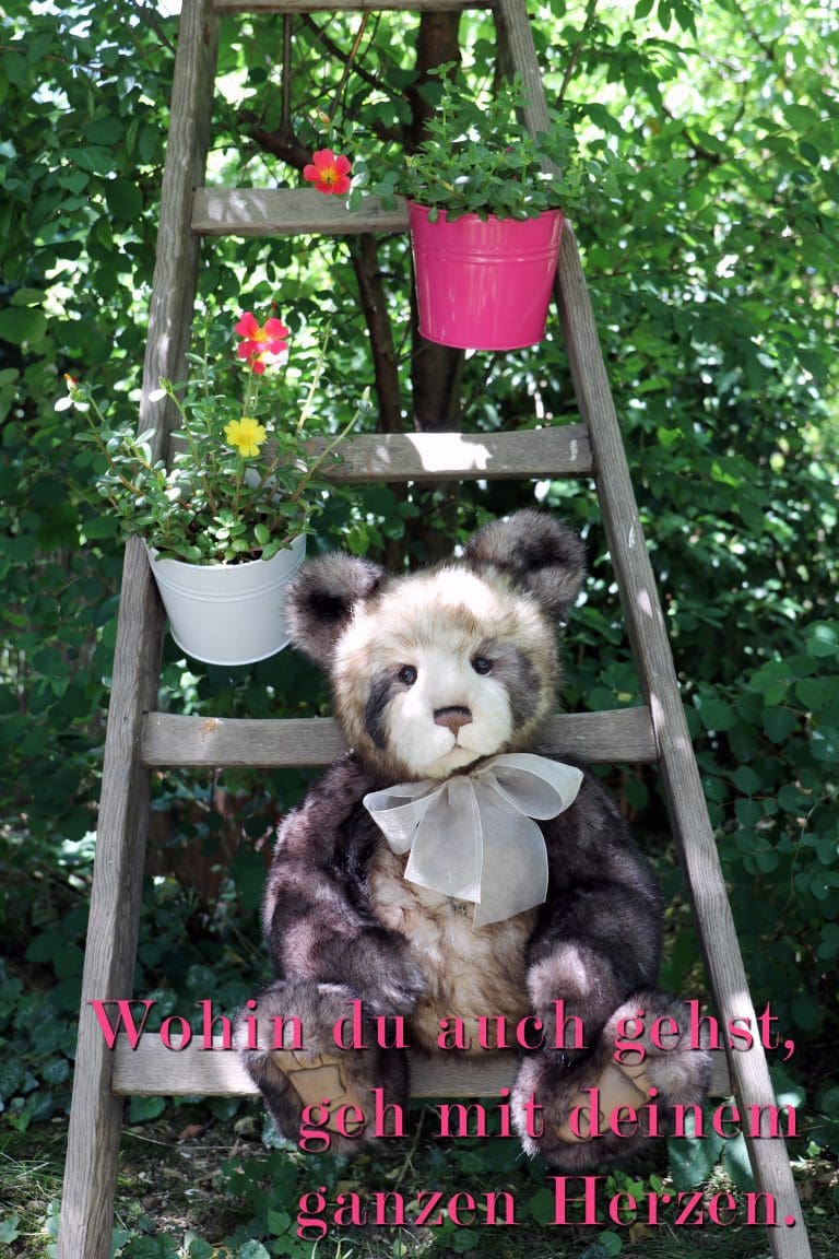 Ecard Image