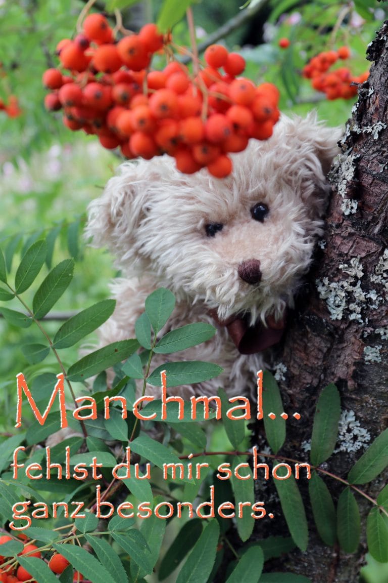 Ecard Image